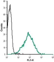 Anti-Nectin 2 antibody used in Flow cytometry (FCM). GTX54844