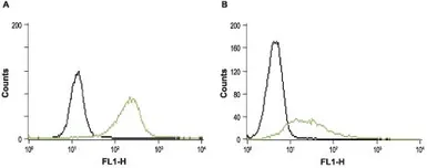 Anti-STIM1 antibody used in Flow cytometry (FCM). GTX54855
