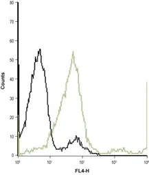 Anti-TrkA antibody used in Flow cytometry (FCM). GTX54856