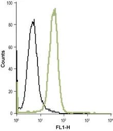 Anti-TrkB antibody used in Flow cytometry (FCM). GTX54857