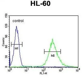 Anti-ENGase antibody used in Flow cytometry (FCM). GTX54877