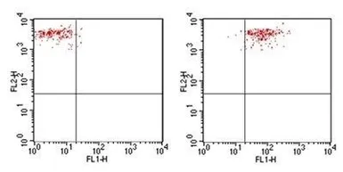 Anti-TLR4 antibody [76B357.1] used in Flow cytometry (FCM). GTX57153