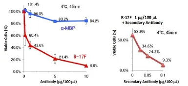 Anti-lacto-N-fucopentaose I antibody [R-17F] used in Functional Assay (Functional Assay). GTX57213