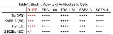 Anti-lacto-N-fucopentaose I antibody [R-17F] used in  (). GTX57213