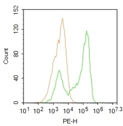 Anti-PXR antibody used in Flow cytometry (FCM). GTX57230
