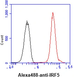 Anti-IRF5 antibody [10T1] used in Flow cytometry (FCM). GTX57552