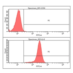 Anti-IL6 antibody [AT1H6] used in Flow cytometry (FCM). GTX57562