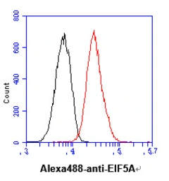 Anti-EIF5A antibody [AT4D1] used in Flow cytometry (FCM). GTX57567