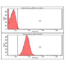 Anti-KLF4 antibody [AT4E6] used in Flow cytometry (FCM). GTX57568