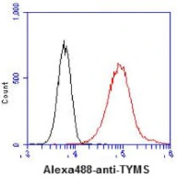 Anti-Thymidylate synthase antibody [AT1S5] used in Flow cytometry (FCM). GTX57572