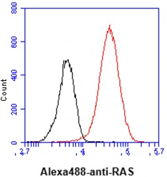 Anti-RAS antibody [AT2G9] used in Flow cytometry (FCM). GTX57577
