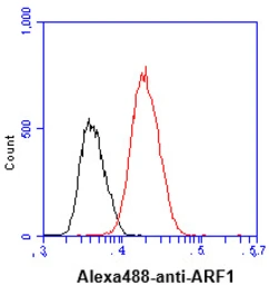 Anti-ARF1 antibody [1B3] used in Flow cytometry (FCM). GTX57579