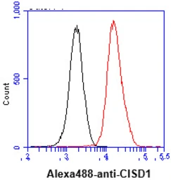 Anti-CISD1 antibody [AT1A8] used in Flow cytometry (FCM). GTX57586