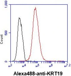 Anti-Cytokeratin 19 antibody [AT13D10] used in Flow cytometry (FCM). GTX57591