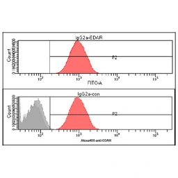 Anti-EDAR antibody [AT19E8] used in Flow cytometry (FCM). GTX57609