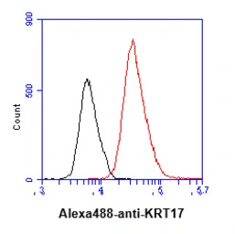 Anti-Cytokeratin 17 antibody [AT9F3] used in Flow cytometry (FCM). GTX57612