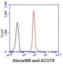 Anti-ACOT8 antibody [AT4D10] used in Flow cytometry (FCM). GTX57615