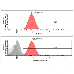Anti-Beclin 1 antibody [AT45E8] used in Flow cytometry (FCM). GTX57617