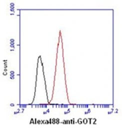 Anti-GOT2 antibody [AT8B11] used in Flow cytometry (FCM). GTX57618