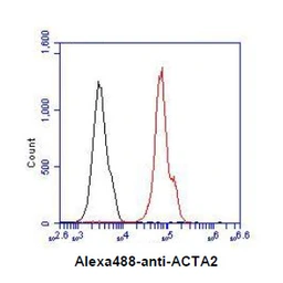 Anti-alpha Smooth Muscle Actin antibody [AT132D3] used in Flow cytometry (FCM). GTX57619