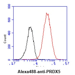 Anti-Peroxiredoxin 5 antibody [AT6A10] used in Flow cytometry (FCM). GTX57635