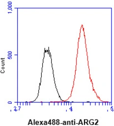 Anti-ARG2 antibody [AT7F8] used in Flow cytometry (FCM). GTX57645