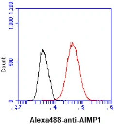 Anti-AIMP1 antibody [AT6D10] used in Flow cytometry (FCM). GTX57649