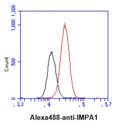 Anti-IMPA1 antibody [AT2G5] used in Flow cytometry (FCM). GTX57655