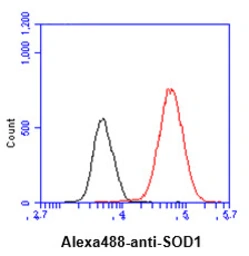 Anti-SOD1 antibody [AT6F1] used in Flow cytometry (FCM). GTX57658