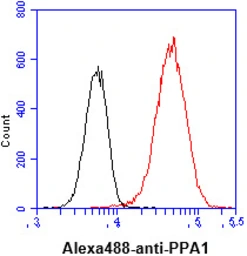 Anti-PPA1 antibody [AT4G4] used in Flow cytometry (FCM). GTX57682