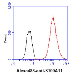Anti-S100A11 antibody [AT20D11] used in Flow cytometry (FCM). GTX57683
