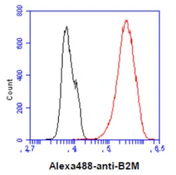Anti-beta 2 Microglobulin antibody [AT101F10] used in Flow cytometry (FCM). GTX57686