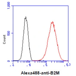Anti-beta 2 Microglobulin antibody [AT101F10] used in Flow cytometry (FCM). GTX57686