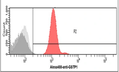 Anti-GSTP1 antibody [AT12C10] used in Flow cytometry (FCM). GTX57728