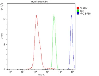 Anti-CRM1 antibody [5G3] used in Flow cytometry (FCM). GTX57736