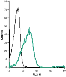 Anti-EphA1 antibody used in Flow cytometry (FCM). GTX57738