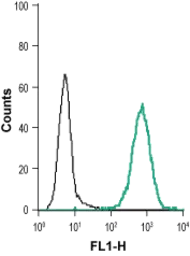 Anti-EphB1 antibody used in Flow cytometry (FCM). GTX57739