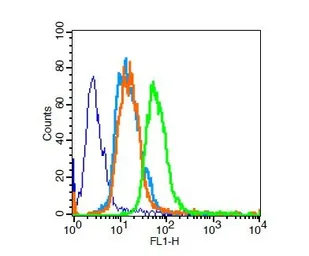 Anti-PPAR gamma antibody used in Flow cytometry (FCM). GTX57756