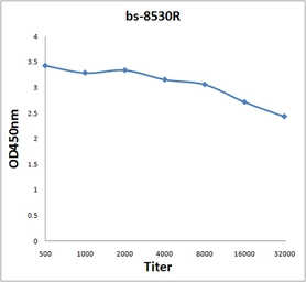 Anti-SDHC antibody used in ELISA (ELISA). GTX60139