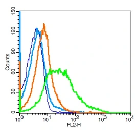 Anti-CD36 antibody used in Flow cytometry (FCM). GTX60300