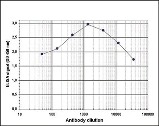 Anti-Histone H3K9acS10ph (Acetyl Lys9/phospho Ser10) antibody used in ELISA (ELISA). GTX60328