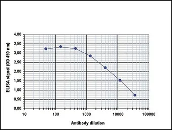 Anti-CBFb antibody - ChIP grade used in ELISA (ELISA). GTX60333
