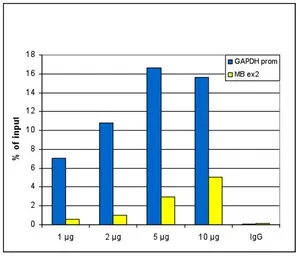 Anti-Histone H3K79me3 (Tri-methyl Lys79) antibody - ChIP grade used in ChIP assay (ChIP assay). GTX60336