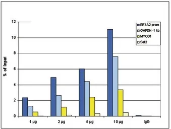 Anti-Histone H4K5K8K12ac (acetyl Lys5/Lys8/Lys12) antibody - ChIP grade used in ChIP assay (ChIP assay). GTX60337
