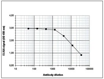 Anti-Histone H4K5K8K12ac (acetyl Lys5/Lys8/Lys12) antibody - ChIP grade used in ELISA (ELISA). GTX60337