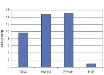 Anti-Retinoic Acid Receptor alpha antibody - ChIP grade used in ChIP assay (ChIP assay). GTX60338