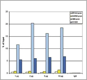 Anti-Histone H3K27me2 (Di-methyl Lys27) antibody - ChIP grade used in ChIP assay (ChIP assay). GTX60351