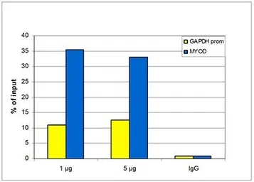 Anti-Histone H3K9me1 (Mono-methyl Lys9) antibody - ChIP grade used in ChIP assay (ChIP assay). GTX60352