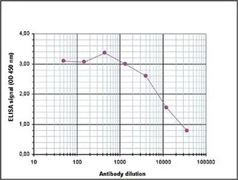 Anti-Histone H3K79me1 (Mono-methyl Lys79) antibody - ChIP grade used in ELISA (ELISA). GTX60353