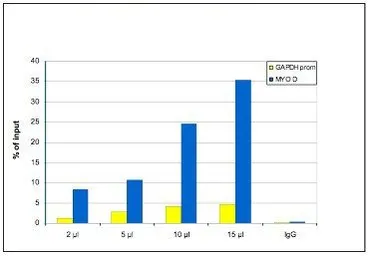 Anti-Histone H3K9me1 (Mono-methyl Lys9) antibody - ChIP grade used in ChIP assay (ChIP assay). GTX60356